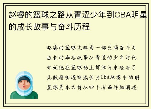 赵睿的篮球之路从青涩少年到CBA明星的成长故事与奋斗历程